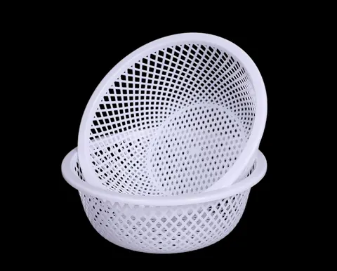 Vegetable Washing Basket 2012