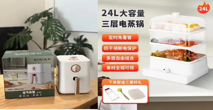Electric Steamer